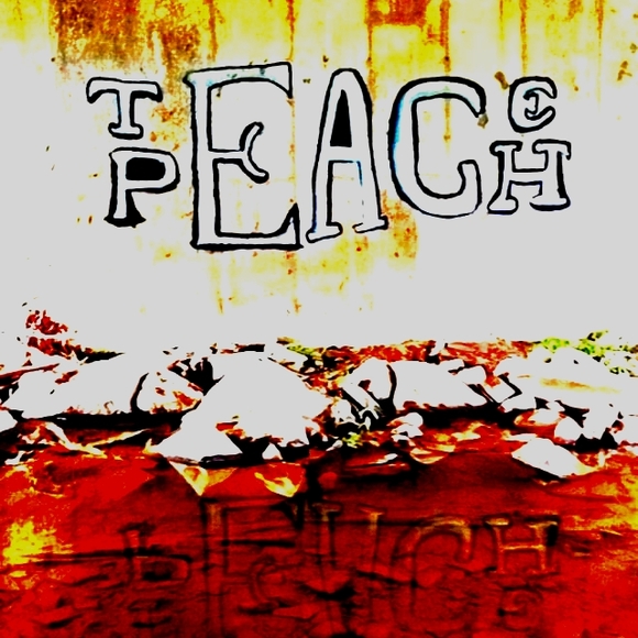 Meet your Posher, Ariel - Picture 3 of 7